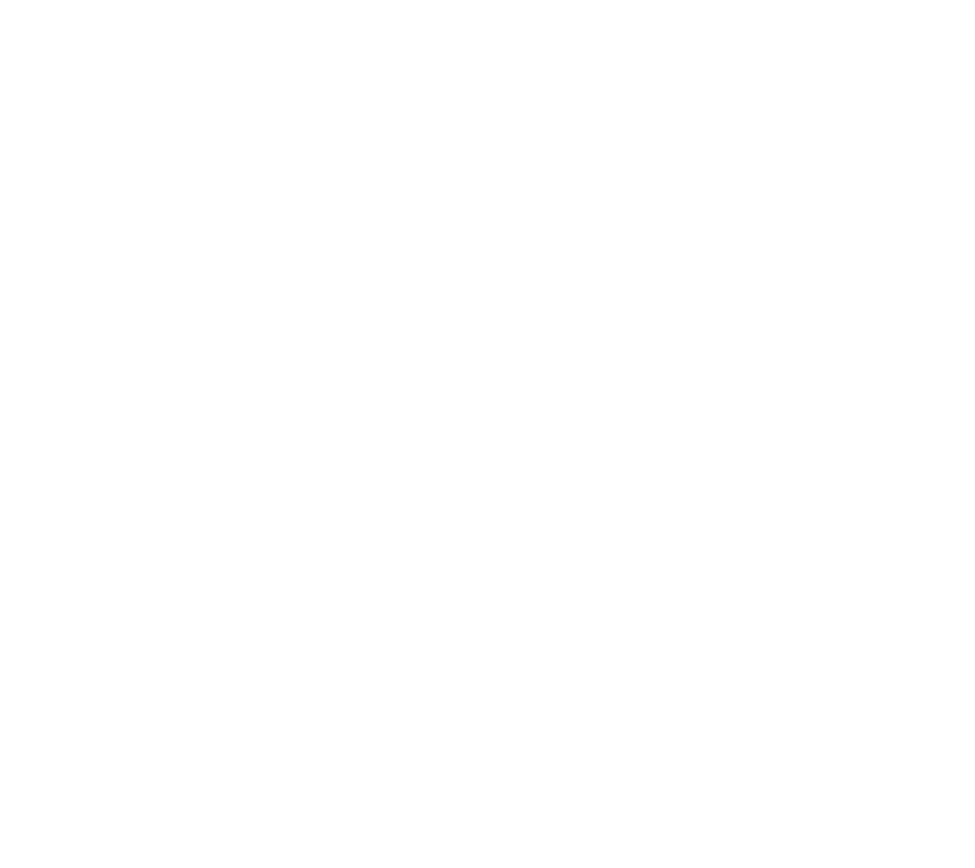 Zero Project Logo